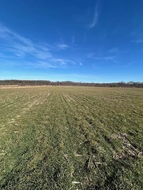 000 Holly Rd, Pierce City, MO 65723