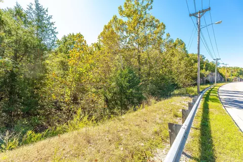 tbd Roark Valley Rd, Branson, MO 65616 photo 11