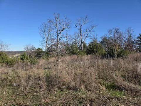 112 Black Forest Ln, Branson West, MO 65737