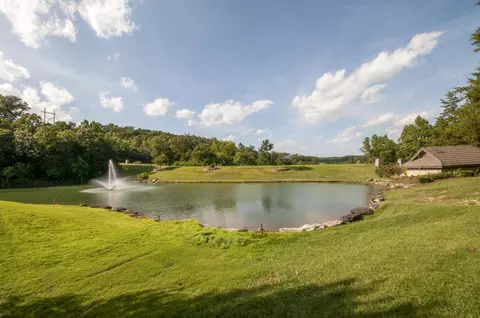 View/Area - 5 Bermuda #3, Branson West, MO 65737 photo 10 of 12