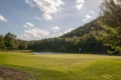 View/Area - 5 Bermuda #3, Branson West, MO 65737 photo 9 of 12