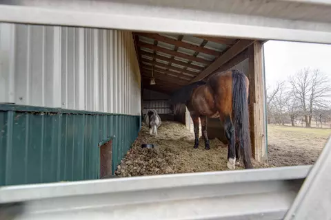 Other - 2130 Elbow Rd, Protem, MO 65733 photo 17 of 34