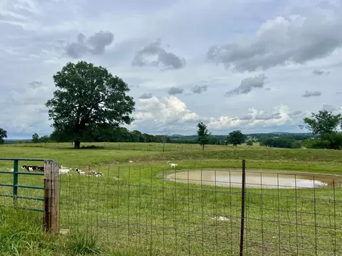 Other - 2130 Elbow Rd, Protem, MO 65733 photo 3 of 34