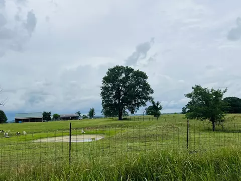 Exterior - 2130 Elbow Rd, Protem, MO 65733 photo 4 of 30
