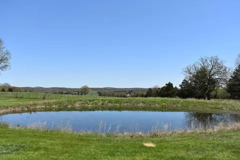 View/Area - 2130 Elbow Rd, Protem, MO 65733 photo 1 of 4