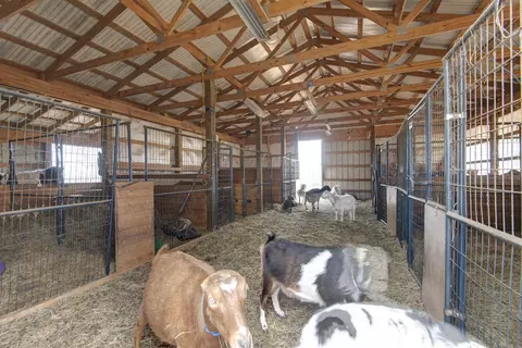 Other - 2130 Elbow Rd, Protem, MO 65733 photo 14 of 34