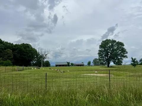 Exterior - 2130 Elbow Rd, Protem, MO 65733 photo 30 of 30