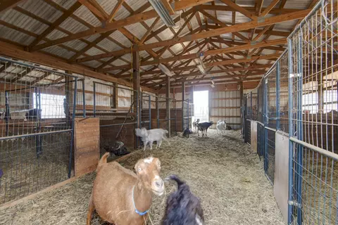 Other - 2130 Elbow Rd, Protem, MO 65733 photo 15 of 34