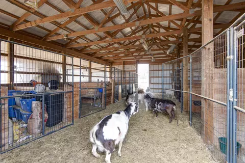 Other - 2130 Elbow Rd, Protem, MO 65733 photo 16 of 34