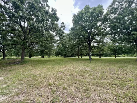 Other - 2130 Elbow Rd, Protem, MO 65733 photo 4 of 34