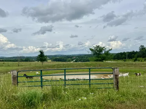 Other - 2130 Elbow Rd, Protem, MO 65733 photo 34 of 34