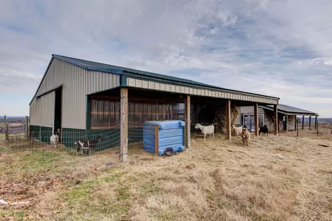 Other - 2130 Elbow Rd, Protem, MO 65733 photo 13 of 34