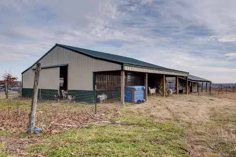 Other - 2130 Elbow Rd, Protem, MO 65733 photo 5 of 34