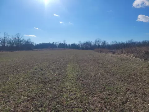 000 Hickory Flats Rd, Ava, MO 65608 photo 5
