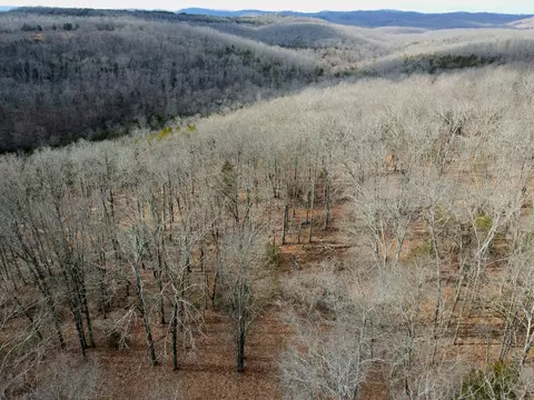 000 Hickory Flats Rd, Ava, MO 65608 photo 44