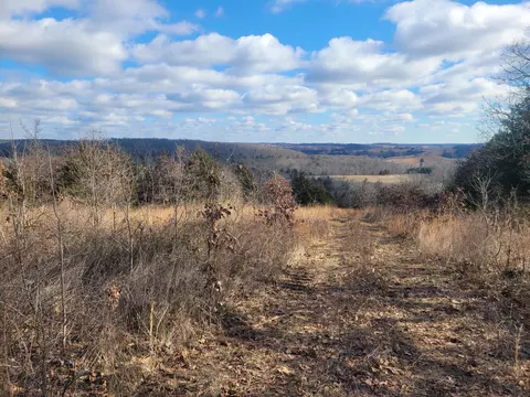000 Hickory Flats Rd, Ava, MO 65608 photo 20