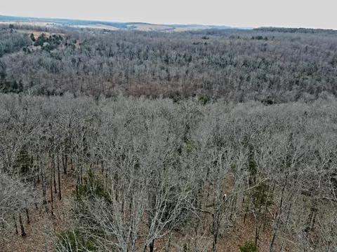 000 Hickory Flats Rd, Ava, MO 65608 photo 41