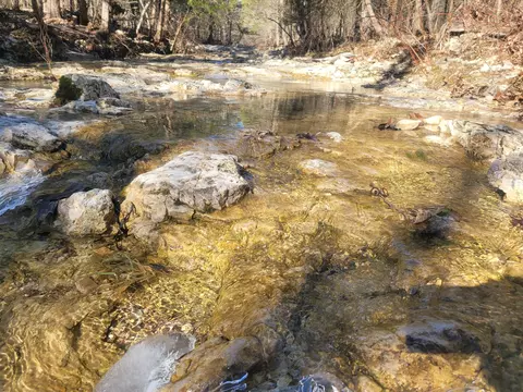 000 Hickory Flats Rd, Ava, MO 65608 photo 11