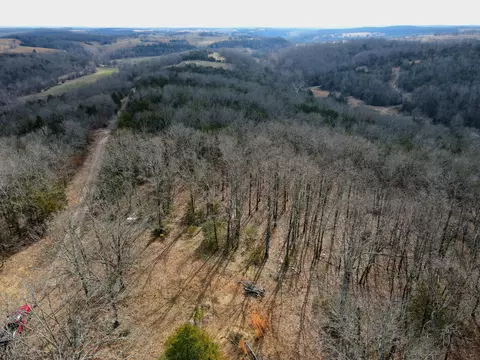 000 Hickory Flats Rd, Ava, MO 65608 photo 43