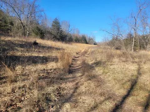 000 Hickory Flats Rd, Ava, MO 65608 photo 8