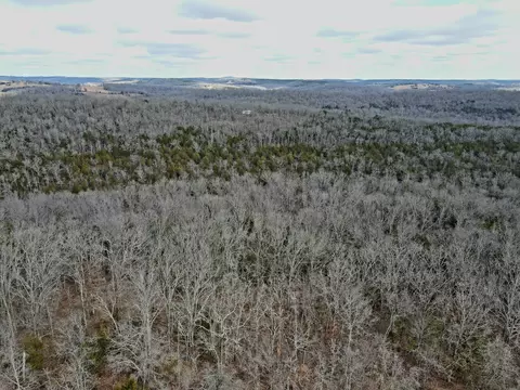 000 Hickory Flats Rd, Ava, MO 65608 photo 36