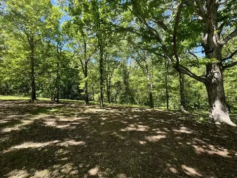 Exterior - 91 County Road 199a, Dora, MO 65637 photo 4 of 21