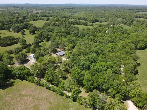 View/Area - 91 County Road 199a, Dora, MO 65637 photo 2 of 4