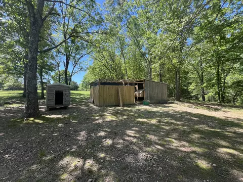 Exterior - 91 County Road 199a, Dora, MO 65637 photo 17 of 21