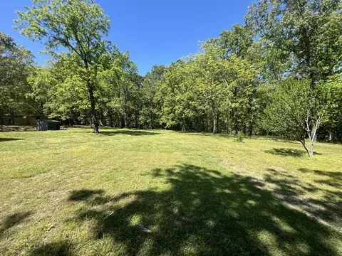 Exterior - 91 County Road 199a, Dora, MO 65637 photo 11 of 21