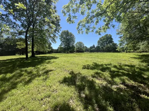 Exterior - 91 County Road 199a, Dora, MO 65637 photo 19 of 21