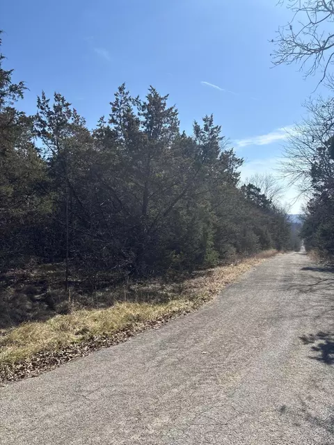 tbd State Hwy Yy, Shell Knob, MO 65747