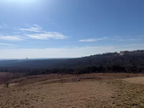 View/Area - 114 Vista View Dr #A, Branson, MO 65616 photo 3 of 4