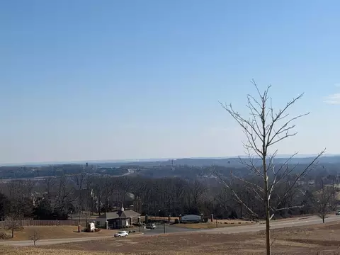 View/Area - 114 Vista View Dr #A, Branson, MO 65616 photo 4 of 4