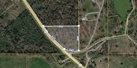 tbd State Highway 413, Crane, MO 65633 photo 2