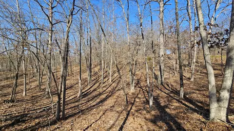 14549 State Highway O, Ava, MO 65608 photo 34