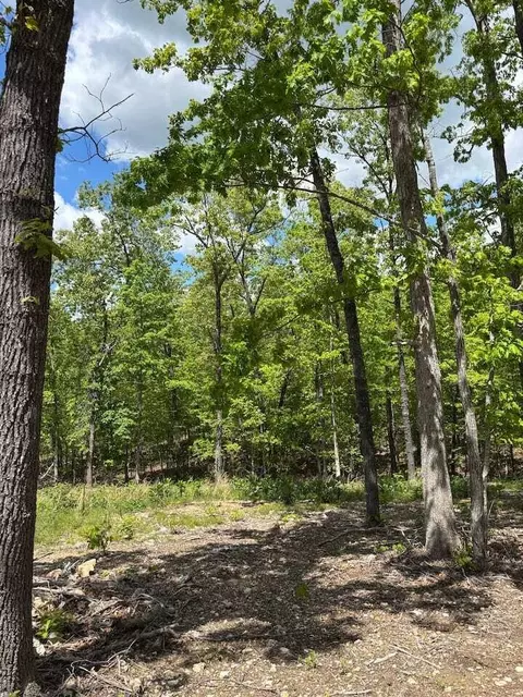 14549 State Highway O, Ava, MO 65608 photo 41