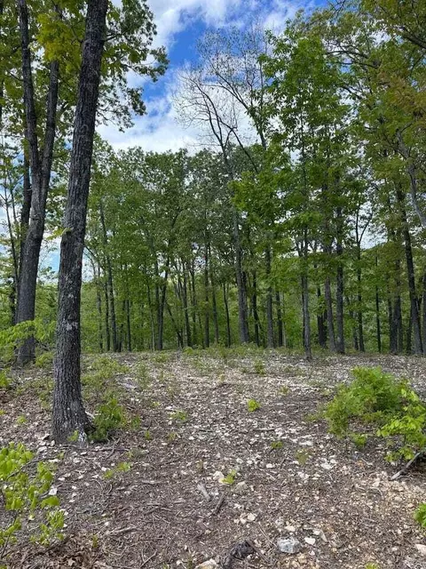 14549 State Highway O, Ava, MO 65608 photo 40