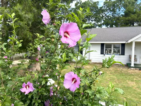 Exterior - 820 2nd St, Cabool, MO 65689 photo 6 of 11
