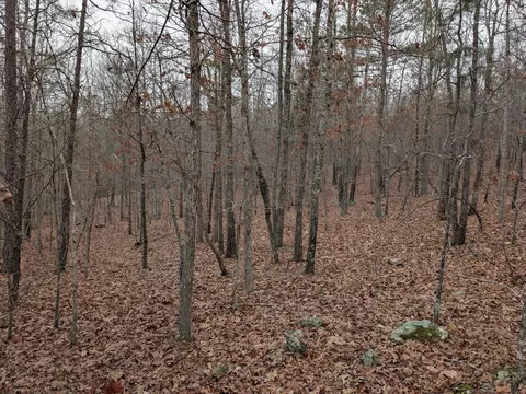 10648 Sydney Ln, Birch Tree, MO 65438 photo 24