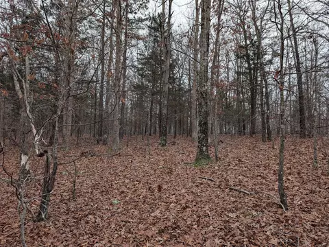 10648 Sydney Ln, Birch Tree, MO 65438 photo 7