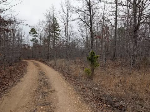 10648 Sydney Ln, Birch Tree, MO 65438 photo 2