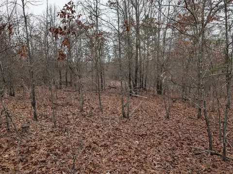 10648 Sydney Ln, Birch Tree, MO 65438 photo 23
