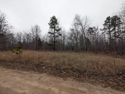 10648 Sydney Ln, Birch Tree, MO 65438