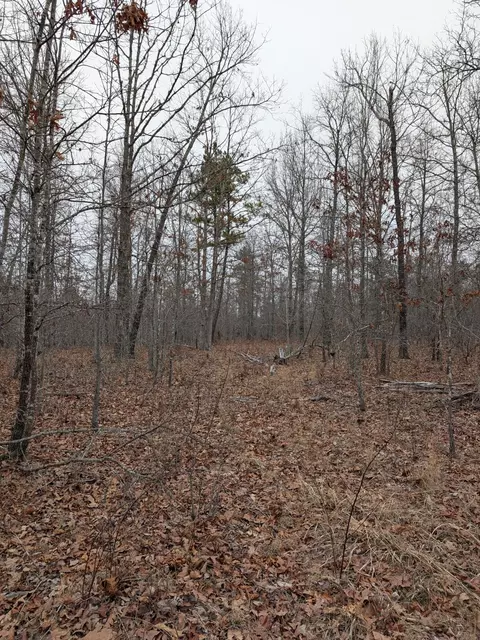 10648 Sydney Ln, Birch Tree, MO 65438 photo 25