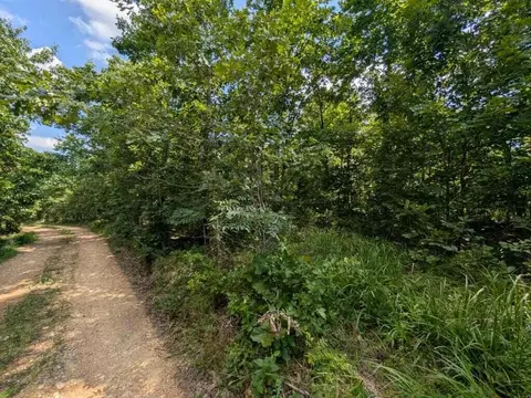 10648 Sydney Ln, Birch Tree, MO 65438 photo 8