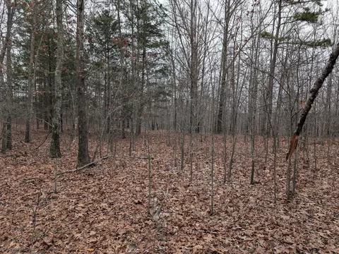 10648 Sydney Ln, Birch Tree, MO 65438 photo 21