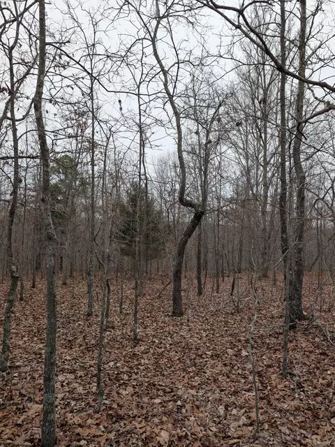 10648 Sydney Ln, Birch Tree, MO 65438 photo 14