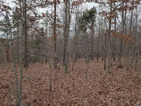 10648 Sydney Ln, Birch Tree, MO 65438 photo 13