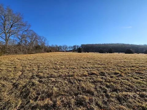 0 County Road 337a, Dora, MO 65637 photo 48