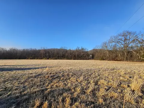 0 County Road 337a, Dora, MO 65637 photo 44